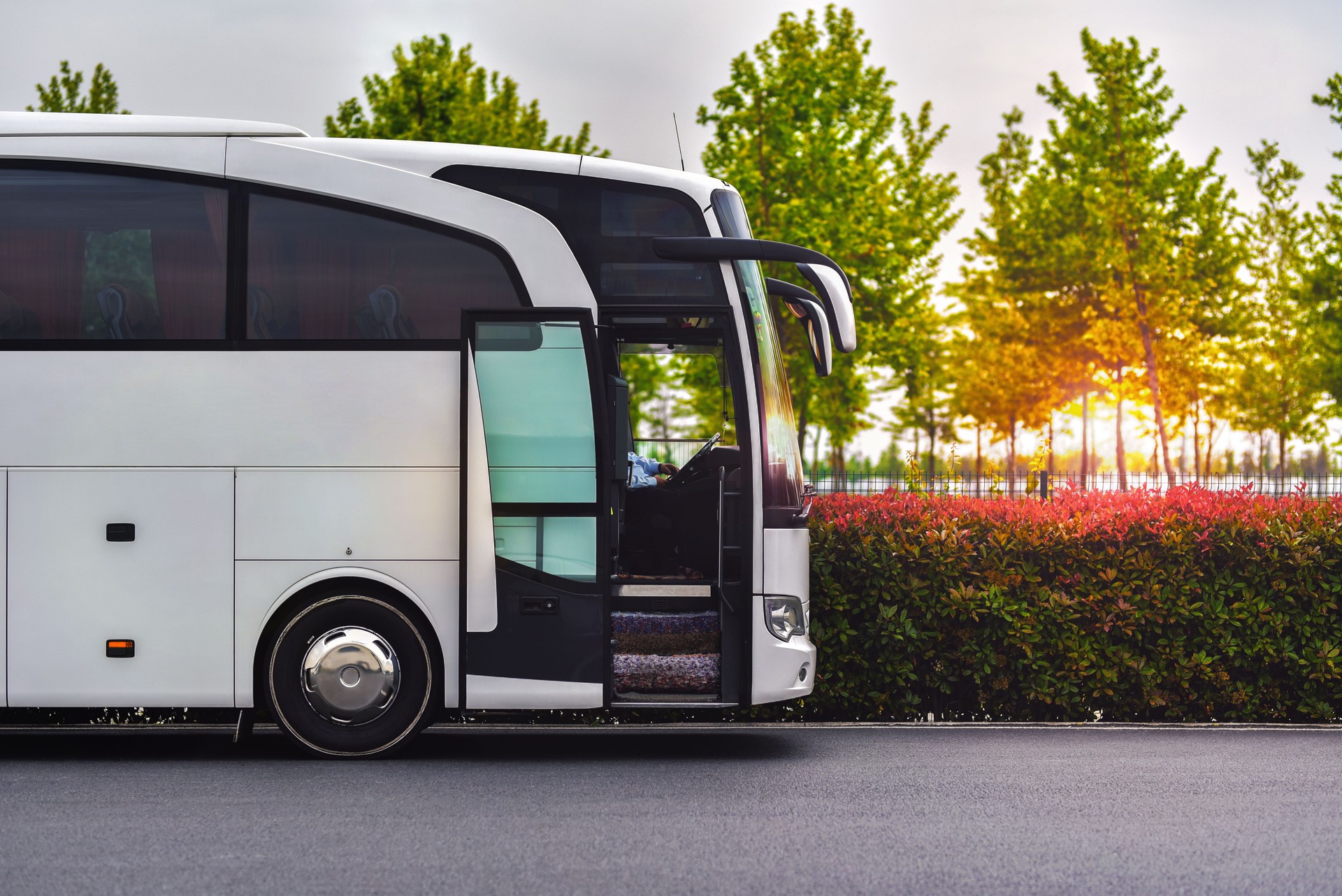 travel company bus